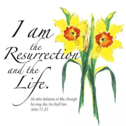 Card - I am the Resurrection & the Life (5pack)